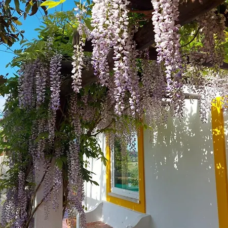Casal Serrano Charme E Tranquilidade Reguengo Grande